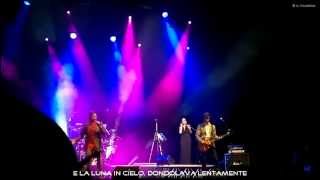 Bee Hive  Mio Dolce Amore HD  Bee Hive Reunion Live Tour 2011  testo  karaoke [upl. by Lah]