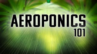 AEROPONICS 101  THE EPITOME OF GARDENING  THE BEST WAY TO GROW ANYTHING [upl. by Beltran]