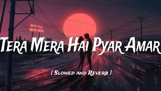 TeraMeraHaiPyarAmar  Slowed and Reverb  Ishq Murshid  By MAC  Song🎧 [upl. by Yttik]