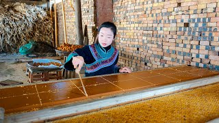 它是無數人的零食，種的人吃盡了苦頭，吃的人甜到心頭（紅糖）Country girl making traditional Chinese brown sugar｜【野小妹 wild girl】 [upl. by Roshan827]