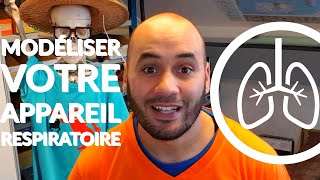 COMMENT MODÉLISER LAPPAREIL RESPIRATOIRE [upl. by Goober]