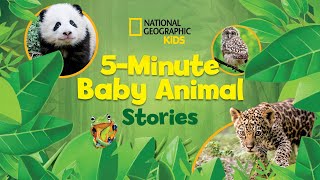 5Minute Baby Animal Stories  National Geographic Kids [upl. by Sedgewake]