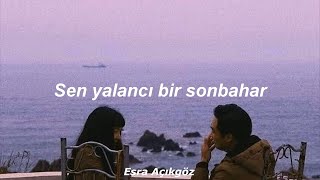 Aşkın Nur Yengi  Yalancı Bahar Lyrics [upl. by Nysila]