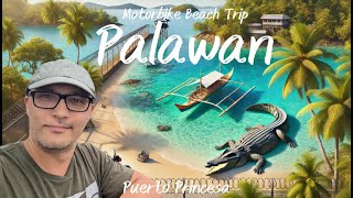 Strand Hopping mit Knastbesuch und Krokodilen  Puerto Princesa [upl. by Ilanos]