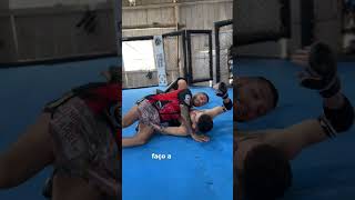 Transição de double leg você já conhece essa técnica bjj mma grappling [upl. by Darcey]