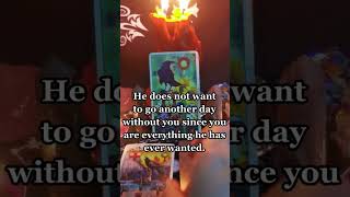 He is missing you right now ❤️ spiritual soulmate twinflame tarotcards zodiac shorts fyp [upl. by Endys]