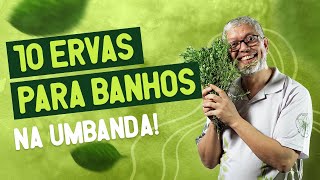 Aprenda 10 ervas para banhos na Umbanda  Ritualizando com o Erveiro da Jurema [upl. by Aicissej]