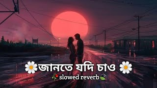 Jante Jodi Chao 🥀জানতে যদি চাও কতটা 🌼তোমায় slowedreverb🎧song🎶bangla romantic Lofi 🦋 [upl. by Eatnwahs162]