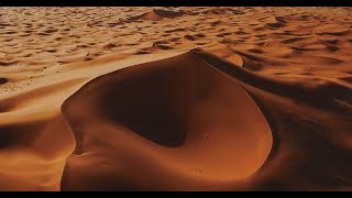 ALIVE  Merzouga 4K [upl. by Nuawed393]