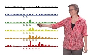 Rachel Green Johns Hopkins U HHMI 2 Protein synthesis mRNA surveillance by the ribosome [upl. by Ahsetal914]