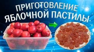 Как сделать пастилу из яблок в домашних условиях [upl. by Ordnas]