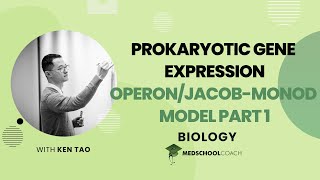 OperonJacobMonod Model Part 1 [upl. by Nahshun]