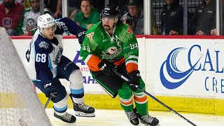 Recap San Diego Gulls vs Milwaukee Admirals [upl. by Linkoski284]