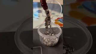 Electromagnet STEM Activity science ncert teacher electricity electromagnet youtubeshorts [upl. by Pollitt374]