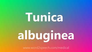 Tunica albuginea  Medical Meaning and Pronunciation [upl. by Giltzow]