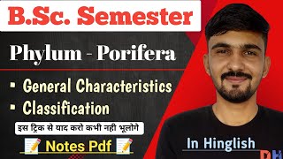 Porifera Classification amp Characteristics  Phylum  Porifera  Bsc Semester  By Dadhich Sir [upl. by Aicillyhp400]