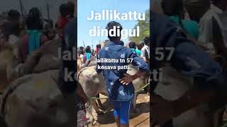 jallikattu 2022 tn57 kosavapatti [upl. by Judie]