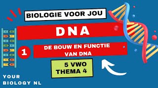 5 vwo  DNA  1  De bouw en functie van DNA [upl. by Lenoil]