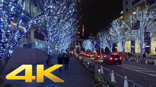 The Christmas lights in Keyakizaka Roppongi Tokyo  Long Take【東京・六本木けやき坂イルミネーション】 4K [upl. by Trahurn337]