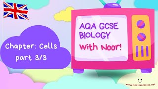 AQA GCSE Biology for the UK  Chapter 17 Cells And Exchange  Part 33 [upl. by Fred832]