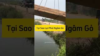 Tại Sao Lại Phải Ngâm Gỗ govietbac chieungua phango sapgo [upl. by Shreve873]