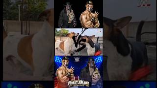 John cena vs Undertaker funny dogfight wwe wwesmackdown jhoncena undertaker [upl. by Otreblif]