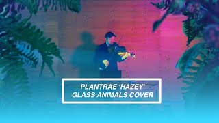 Plantrae  Glass Animals Hazey Cover [upl. by Blayze]