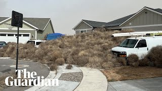 High winds engulf homes in tumbleweeds in western US [upl. by Ocicnarf]