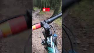 Shredding Trails At Bike Park Wales short [upl. by Anaoy]