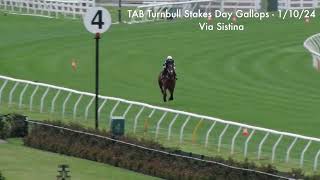 Turnbull Stakes Day Gallops Tue 1 October Via Sistina [upl. by Wrennie]