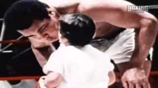 Muhammad Ali Boxing Kid  Funniest Ali Ever [upl. by Xirdnek]