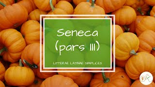 Seneca pars III  Latin language podcast  Litterae Latinae Simplices 42 [upl. by Sacken]