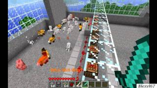 Minecraft Fox vs Wolf HD [upl. by Gnemgnok567]