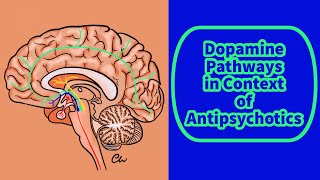 Dopamine Pathways In Context Of Antipsychotics [upl. by Norre19]