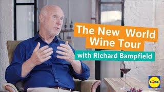 Explore Lidls New World Wines with Richard Bampfield  Lidl GB [upl. by Renny490]