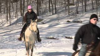 Winter is Bells on Bobtails in Explorers Edge [upl. by O'Donoghue]