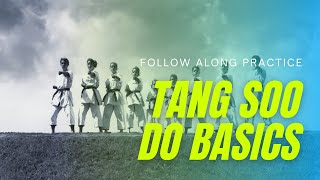 How to Drill Basic Tang Soo Do Techniques [upl. by Wilhelmina]