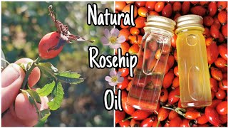 How To Make Rosehip Oil  Easily Step By Step 🌹 [upl. by Anahtor625]