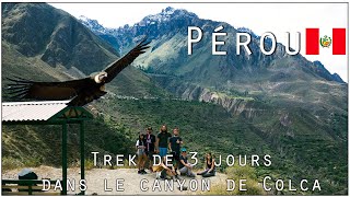 🦅3 jours aux milieu des condors dans l’IMPRESSIONNANT canyon de Colca 🥵Trek Pérou [upl. by Tiersten]