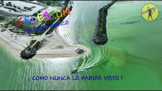 CELESTUN YUCATAN COMO NUNCA LO HABIAS VISTO  dronevideos5 [upl. by Nosremaj]