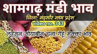 शामगढ़ मंडी भाव  Shamgarh Mandi bhav  Lahsun bhav  Soyabean bhav  Gehu bhav  makka bhav 8 Nov [upl. by Llehcar145]