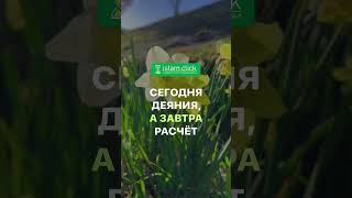 Сегодня деяния а завтра расчёт Абу Яхья Крымский Shorts [upl. by Constantia]