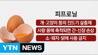 개진드기예방약이 다른 동물들에게는 금지인 이유개에겐 안전할까 [upl. by Zsuedat]