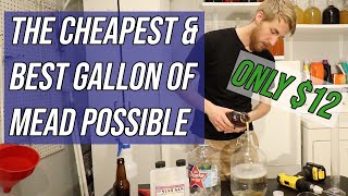 The Cheapest amp Best Gallon of Mead Possible ONLY 12 [upl. by Sremmus357]