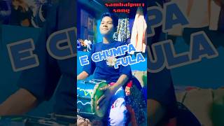 A Chompa Fula sundari noni dholak covering by Raja shortvideo🥰 [upl. by Ahtikal]