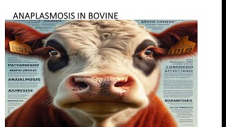 ANAPLASMOSIS A BOVINE DISEASE TICK FEVER ANAPLASMA SPP DISEASE OF RUMINANTS [upl. by Frey]