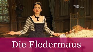 Die Fledermaus – A short introduction  Volksoper Wien [upl. by Tlaw580]