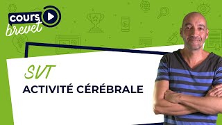 BREVET de SVT  Activité cérébrale [upl. by Callie435]