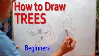 How to Draw Trees  Simply [upl. by Nangem]