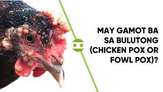 May Gamot Ba sa Bulutong Chicken Pox or Fowl Pox [upl. by Nivlam]